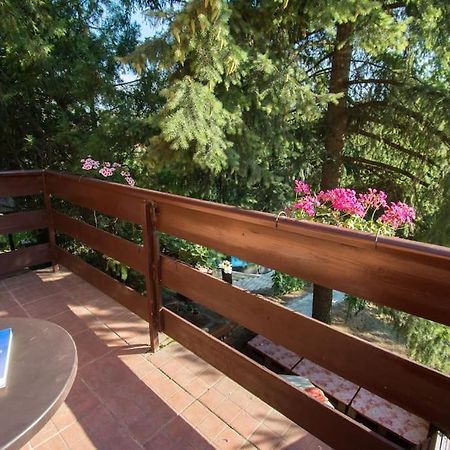 Happy House Villa Velika Remeta Exterior photo