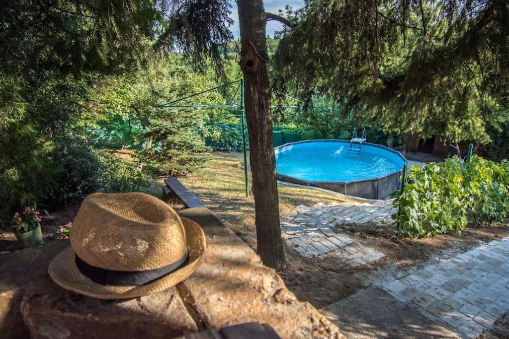 Happy House Villa Velika Remeta Exterior photo