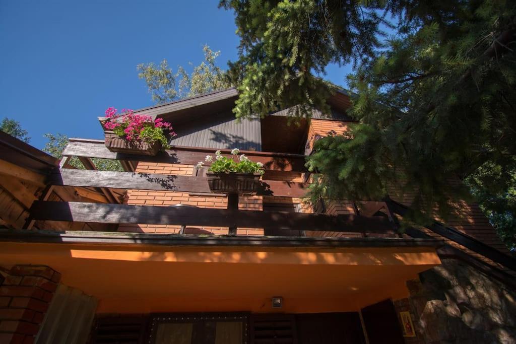 Happy House Villa Velika Remeta Exterior photo